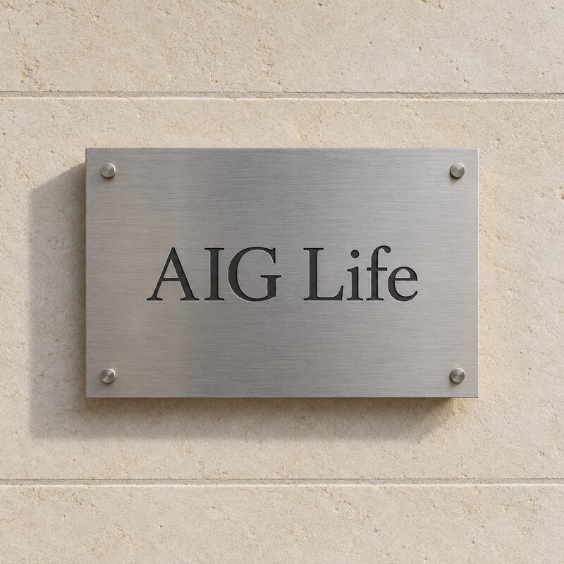 AIG Life logo
