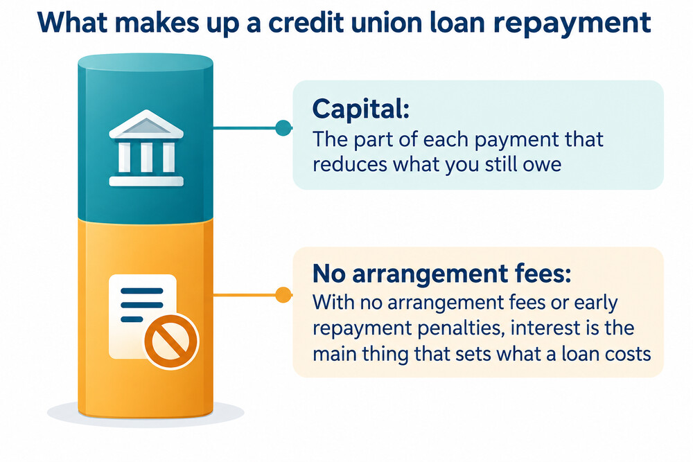 A simple breakdown showing a loan repayment split between interest and capital