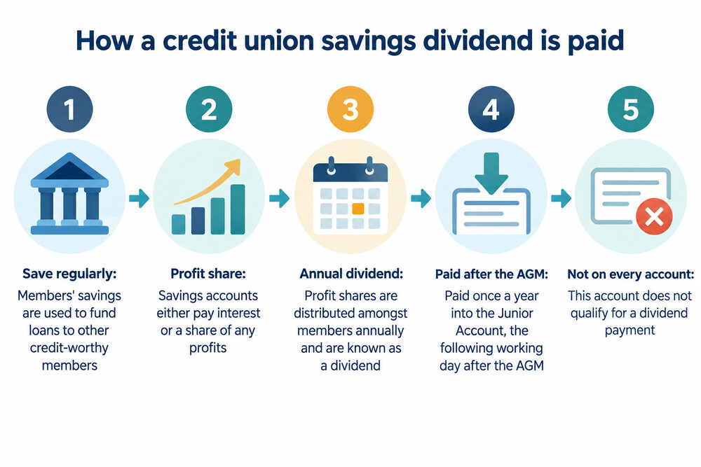 A member's view of a credit union savings account showing a dividend payment