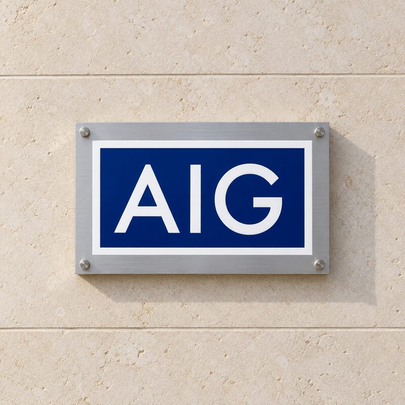 American International logo