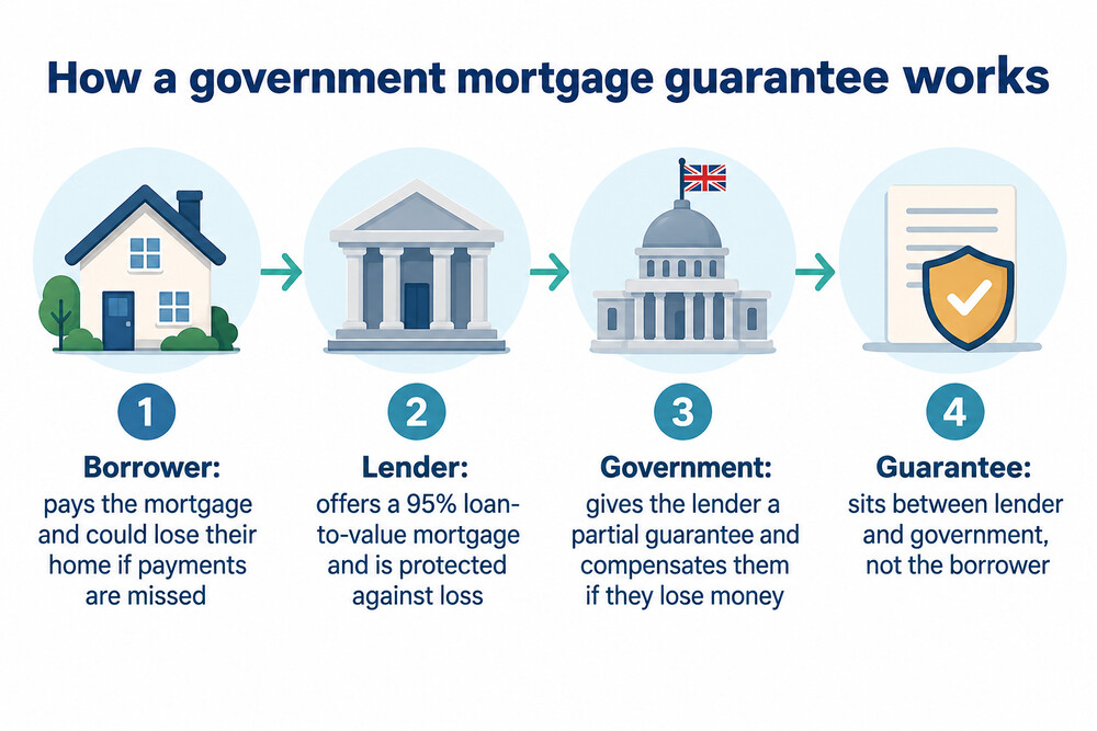 A diagram showing the government guarantee sitting between the lender and the government, with the borrower outside it