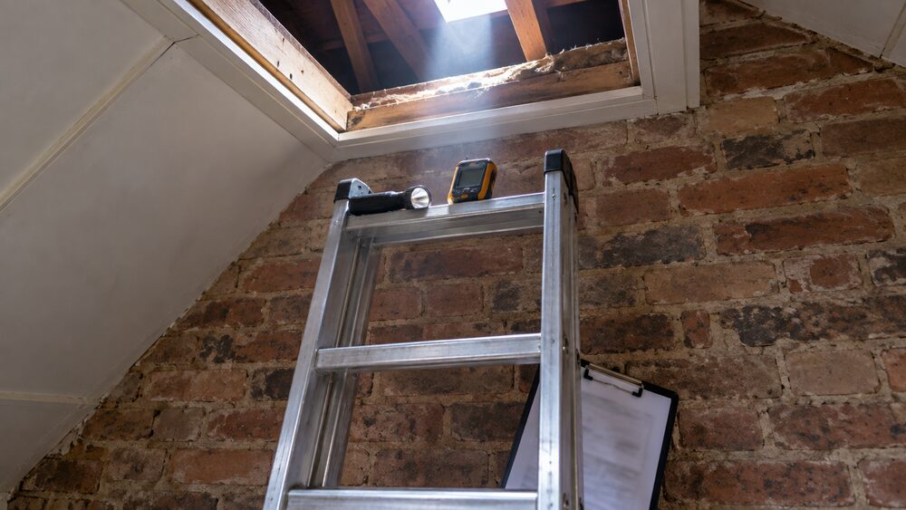 A ladder leans against a brick terrace wall beside an open loft hatch with a torch and damp meter.