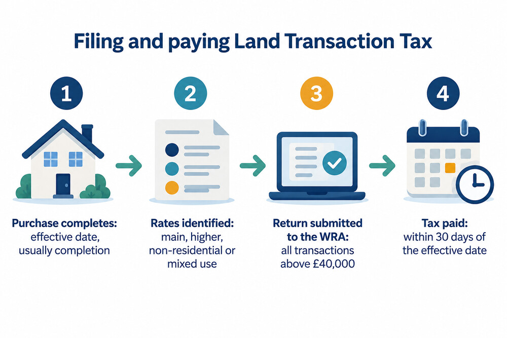 How a Land Transaction Tax return is made after a purchase