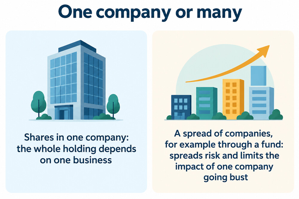 A single-company holding compared with a spread of holdings across many companies
