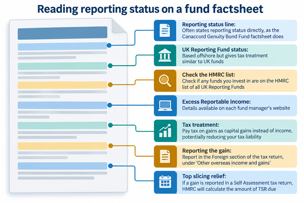 A fund factsheet page with the reporting status line highlighted