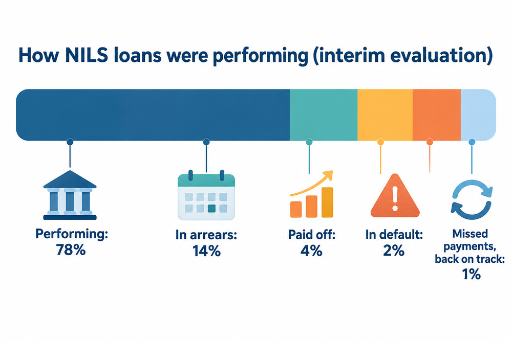 Breakdown of NILS loans by repayment status in the interim evaluation