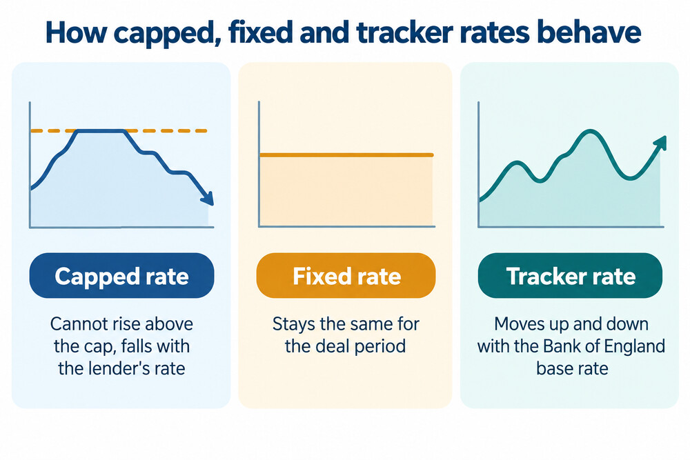 A side-by-side comparison of how capped, fixed and tracker rates behave when the base rate rises and falls