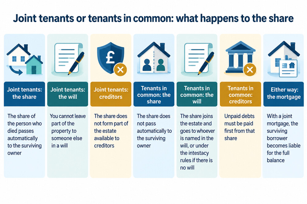 A side-by-side illustration comparing joint tenants, whose shares merge and pass to the survivor, with tenants in common, whose shares stay separate and pass under the will